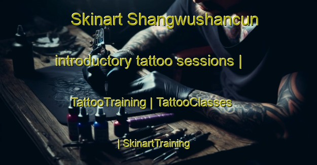 Skinart Shangwushancun introductory tattoo sessions | TattooTraining | TattooClasses | SkinartTraining-China